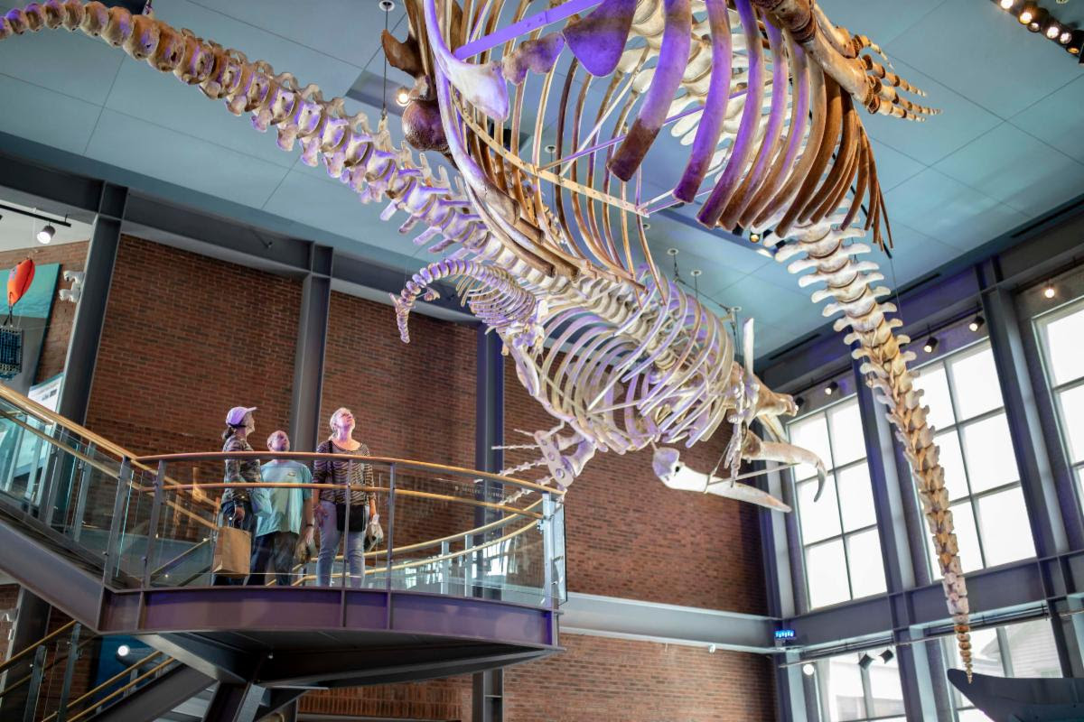 Creating a Social Media Campaign for 120 Years of the New Bedford Whaling Museum